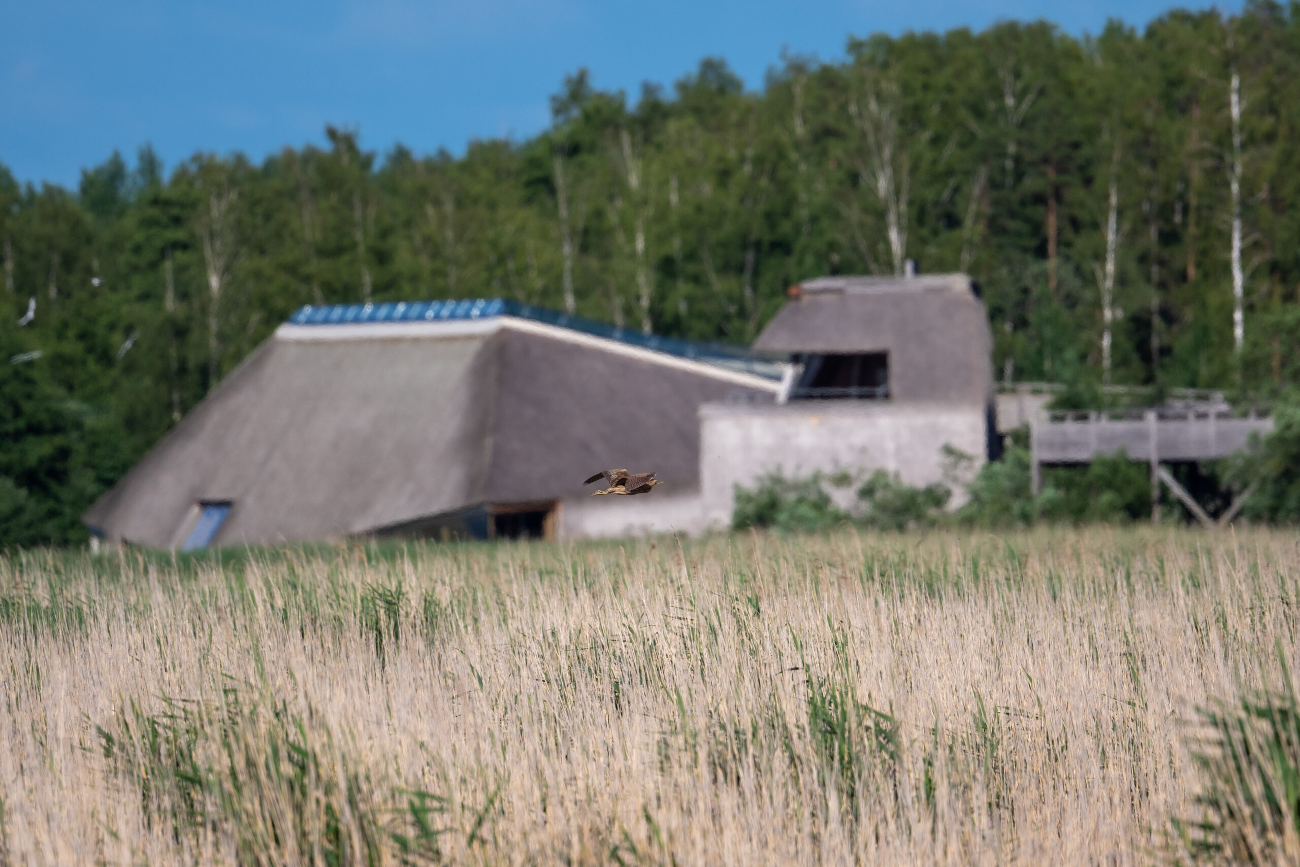 Naturum Tåkern